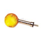 25-3016 Rear Turn Signal Assembly Lens