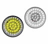 9500-58 Radiantz Haloz White Led Drl With Amber Turn Signal Inserts