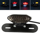 Der05206 Carm Led License Plate