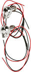 H040081 Harddrive Lighted Skull License Plate Screws For White