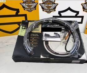 Harley-davidson 46800-02 43262 Oem Fatboy Heritage Softail E-glo Light Ring Kit Of Fire Wheel Brake