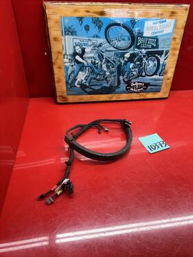 Harley-davidson 69202819 Lowrider St M8 Softail Rear Fender Tail Light Harness Oem Wiring Stock
