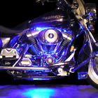 Kmv-ps-ek-mc-12l2 Boogey Lights Premium Series 812928020004