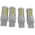Led-7443 Rivco Strobing White Bulbs