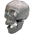 Life Headlight - Skull Unpolished