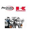 Light Kawasaki K32001-010 Vn900 Bar