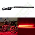 Ta803759-topcn-harley-davidson01p Topcn-autop Flexible Motorcycle Tail