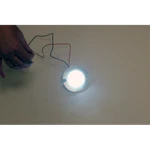 Custom Dynamics Light Ts White Flat GEN200W1157E3T. Fixed Price $104.18.