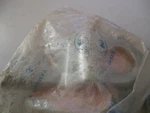 1974 Yamaha TX650 75-78 XS650 Turn Signal Flasher Bracket 447-83368-00 Nos SW64C. Fixed Price $54.95.